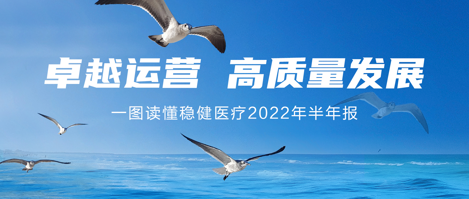 一图读懂Z6尊龙医疗2022年半年报